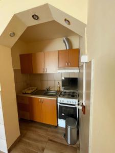 阿列謝尼鄉的住宿－Cabana Med 2，厨房配有木制橱柜和炉灶烤箱。