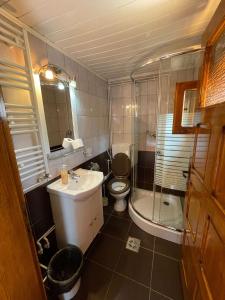 a bathroom with a toilet and a sink and a shower at Cabana Med 2 in Arieşeni