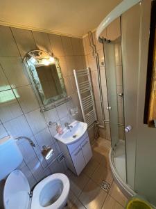 a bathroom with a toilet and a sink and a shower at Cabana Med 2 in Arieşeni