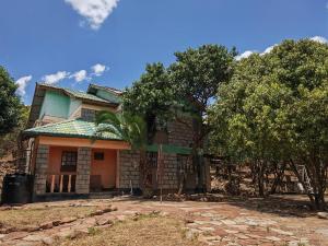 an old house with a palm tree in front of it at Mara bush house in Sekenani