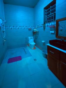 uma casa de banho azul com um WC e uma televisão em BIZI HOMES, KABUGA 