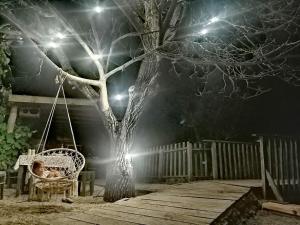 クラリェヴォにあるStuden Jazのギャラリーの写真