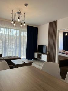 施柯拉爾斯卡波倫巴的住宿－Apartament Michaś，客厅配有桌子、沙发和电视
