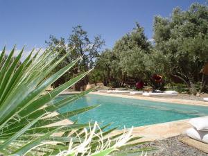 a swimming pool with a palm tree in the foreground at Les Jardins de Skoura in Skoura