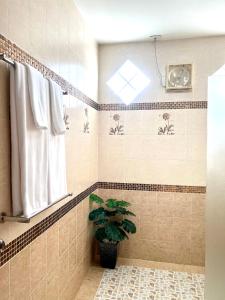 La salle de bains est pourvue d'une douche avec une plante. dans l'établissement Malinee Villa Phuket, à Bang Tao Beach