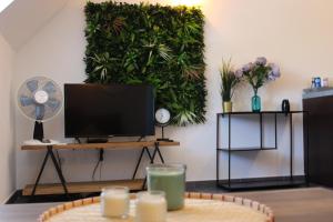 sala de estar con TV y plantas en la pared en Jungle suite - moderne et spacieux, en Annecy