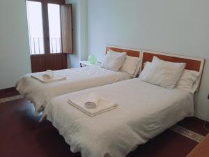 two beds with towels on top of them in a room at Apto La Almena 2 junto a Plaza Mayor,2 habitaciones,parking gratuito in Cáceres