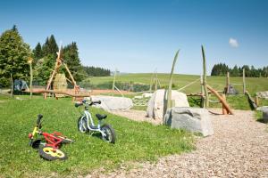 Dos bicicletas para niños estacionadas en el césped cerca de un parque infantil en Feriendorf Reichenbach - Wieselweg 1 en Nesselwang