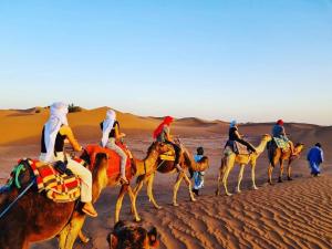 Ospiti di Desert Bivouac Mhamid
