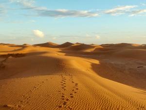 a desert with footprints in the sand and mountains at Desert Bivouac Mhamid in Mhamid