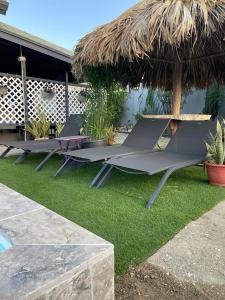 Zahrada ubytování Palmhouse Apartments Aruba 1- 4 persons