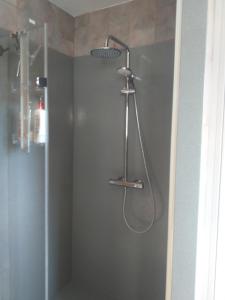 a shower with a shower head in a bathroom at Fan 36B in La Roche-de-Glun