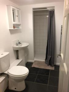 a bathroom with a toilet and a sink and a shower at The Annex in Ottery Saint Mary