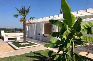 a patio with a table and a palm tree at Borbara Apartman in Pázmándfalu