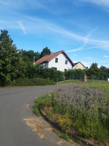a white house on the side of a road at Ferienwohnung May in Seiwerath