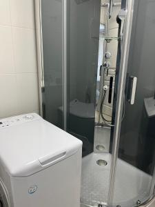 La petite salle de bains est pourvue d'une douche et de toilettes. dans l'établissement Le Cubry : Appart hyper-centre avec une place de parking, à Épernay