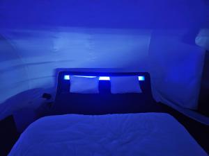 Bett in einem Zimmer mit blauem Licht in der Unterkunft Nuit insolite dans une bulle avec jacuzzi privatif 