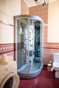 a shower in a bathroom with a washing machine at One bedroom apartment with balcony-Kostyushka street,16 in Lviv