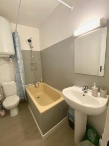 uma casa de banho com um lavatório, uma banheira e um WC. em Studio centre ville em Nîmes