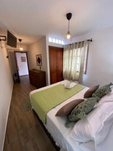 a bedroom with a large bed with a green blanket at Casa de colon in Los Silos