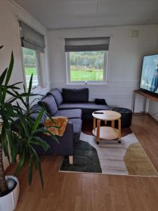 a living room with a blue couch and a table at Warm and cozy cottage, Great location in Kvaløya