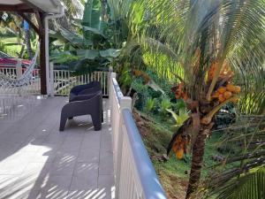 a balcony with a chair and a palm tree at Bungalow Abricot in Petit-Bourg +9 photos