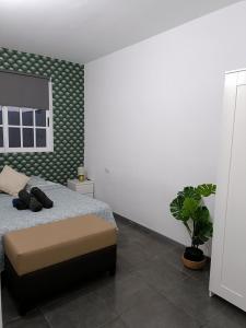 a bedroom with a bed and a potted plant at La casita de Aitor; campo y playa en el Médano in El Médano