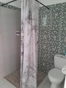 uma casa de banho com uma cortina de chuveiro em mármore e um WC. em Bungalow Abricot em Petit-Bourg