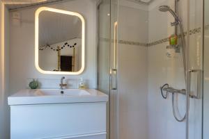 a bathroom with a sink and a mirror and a shower at Maison Névez Campagne Calme Piscine in Clohars-Fouesnant +17 photos