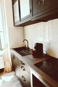 - une cuisine avec un évier et un comptoir dans l'établissement Harry Potter expérience, à Marseille