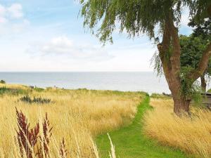 a path through a field with a tree and the ocean at 8 person holiday home in Tranek r in Fæbæk