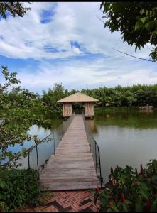 un puente de madera sobre un lago con cenador en TINA LAKESIDE AO ĐÔI Homestay Phước Hải, en Hội Mỹ