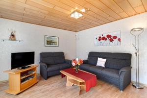 een woonkamer met 2 banken en een tv bij Marliese in Bad Peterstal-Griesbach