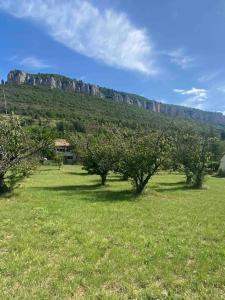 een veld met bomen voor een berg bij Maison les Acacias in Millau