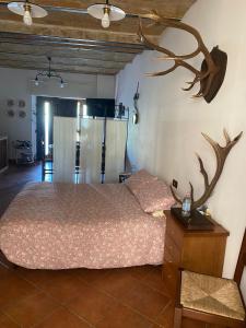 1 dormitorio con 1 cama y cuernos en la pared en Mini House Tagliacozzo, en Tagliacozzo