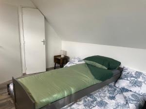 Paisible Duplexe sur Villeneuve d ascq في Annappes: غرفة نوم بسرير ذو شراشف خضراء
