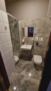 a bathroom with a toilet and a sink and a shower at Hotel Mikorzyn in Ślesin