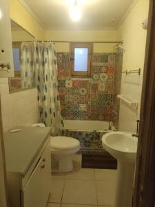 La salle de bains est pourvue de toilettes, d'un lavabo et d'une douche. dans l'établissement Pichidangui vista al Mar 8 camas, à Los Vilos