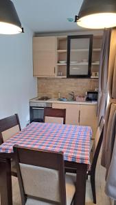 Virtuvė arba virtuvėlė apgyvendinimo įstaigoje Kamena Kuca Lux Apartment