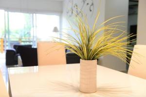 une plante en pot assise sur une table dans l'établissement BLUE OCEAN RIVIERA MAYA, à Playa del Carmen