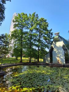 a pond in a park with trees and a building at Apartment Park in Vrnjačka Banja
