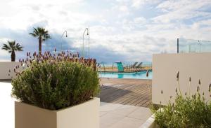 ein Pool mit einigen Pflanzen und einem Zaun in der Unterkunft ALEGRIA Mar Mediterrania - Adults Only 4*Sup in Santa Susanna