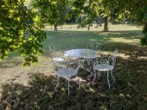 una mesa y dos sillas sentadas en el césped en CHAMBRES D'HOTES DANS DOMAINE DE CHARME A EPERNAY, en Mardeuil