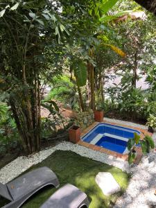 una pequeña piscina en medio de un jardín en Monte Verde Hostal en El Zaino