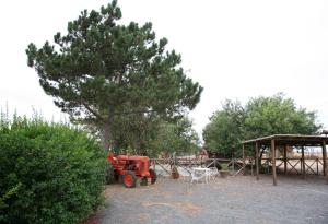 Galeriebild der Unterkunft Agriturismo Casalino dei Francesi in Montalto di Castro