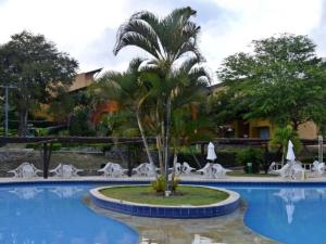 a palm tree in the middle of a swimming pool at Flat 3 quartos Gravatá Winterville in Gravatá