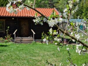 a log cabin with a flowering tree in front of it at Charmig stuga mitt i naturen! in Upplands-Väsby