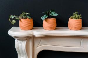 three plants in orange pots sitting on a white table at Unique, stylish and secluded home, with parking in the heart of historic York in York