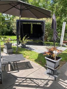 Zahrada ubytování Jeannette