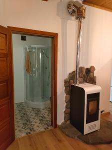 a bathroom with a television and a shower in a room at Apartament w Centrum in Żuromin